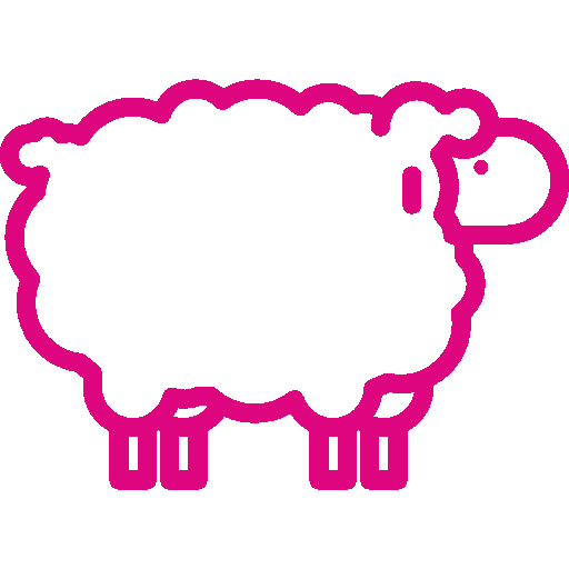 sheep sheep